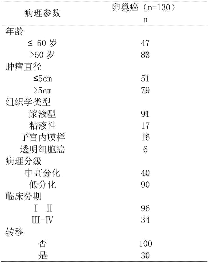 Anti-ovarian cancer monoclonal antibody and its application