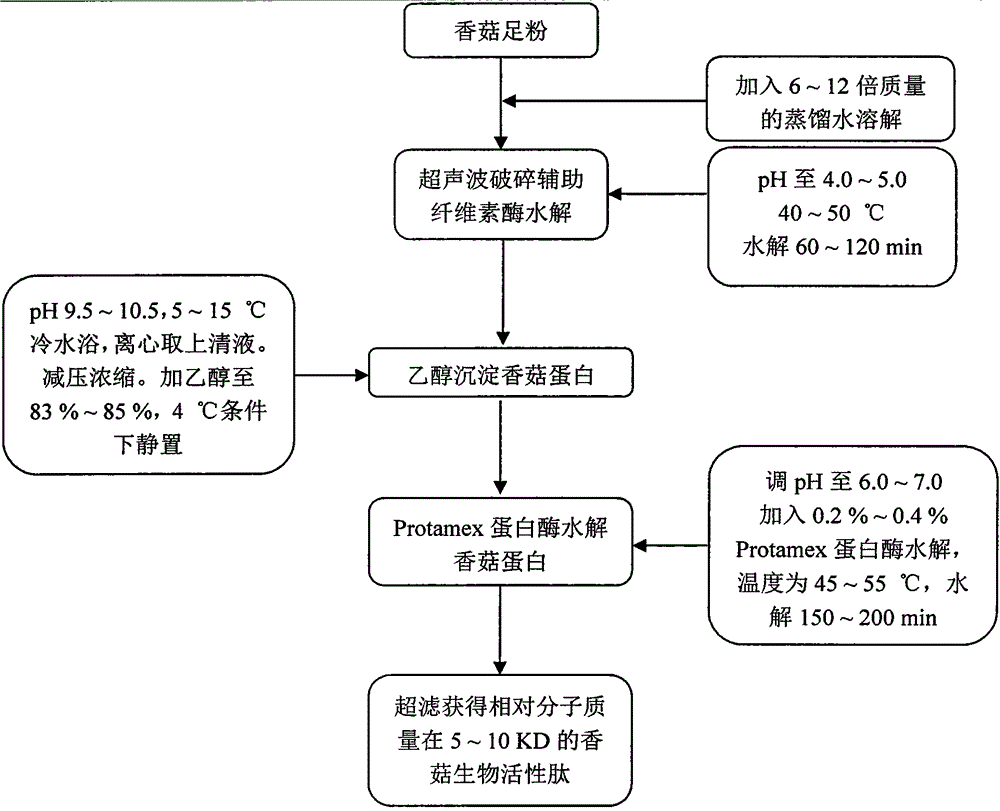 Preparation of a bioactive peptide from shiitake mushroom