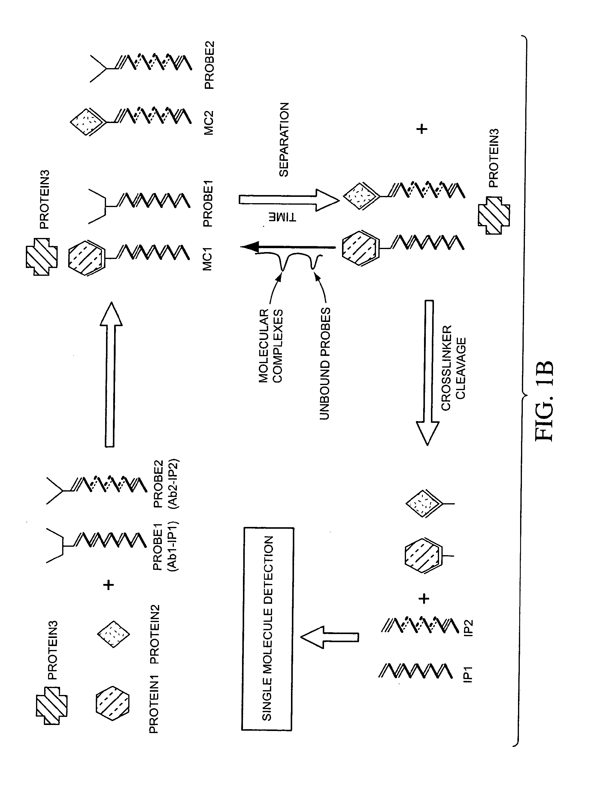 Compositions, methods, and kits for fabricating coded molecular tags