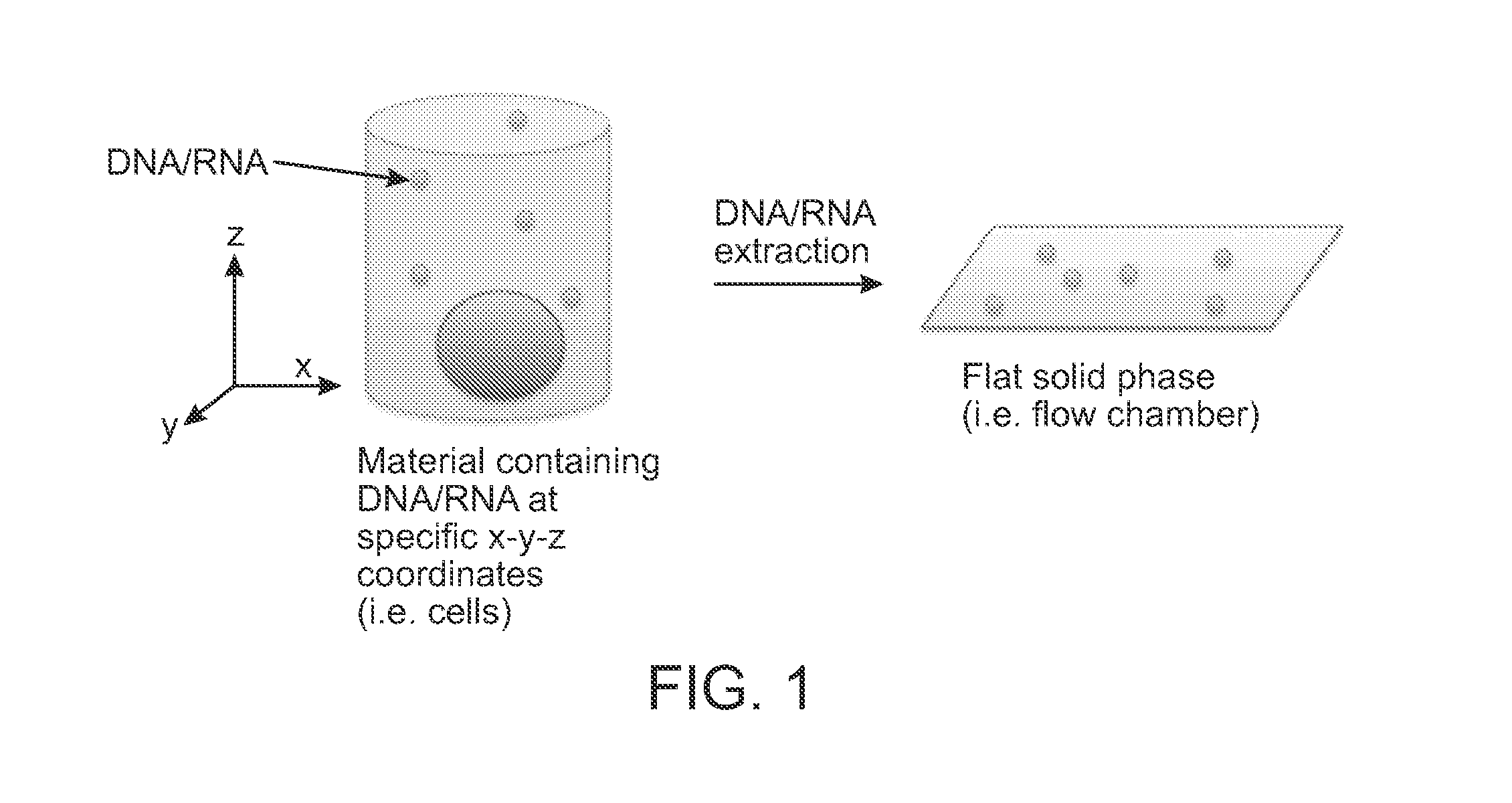 Method for Generating A Three-Dimensional Nucleic Acid Containing Matrix