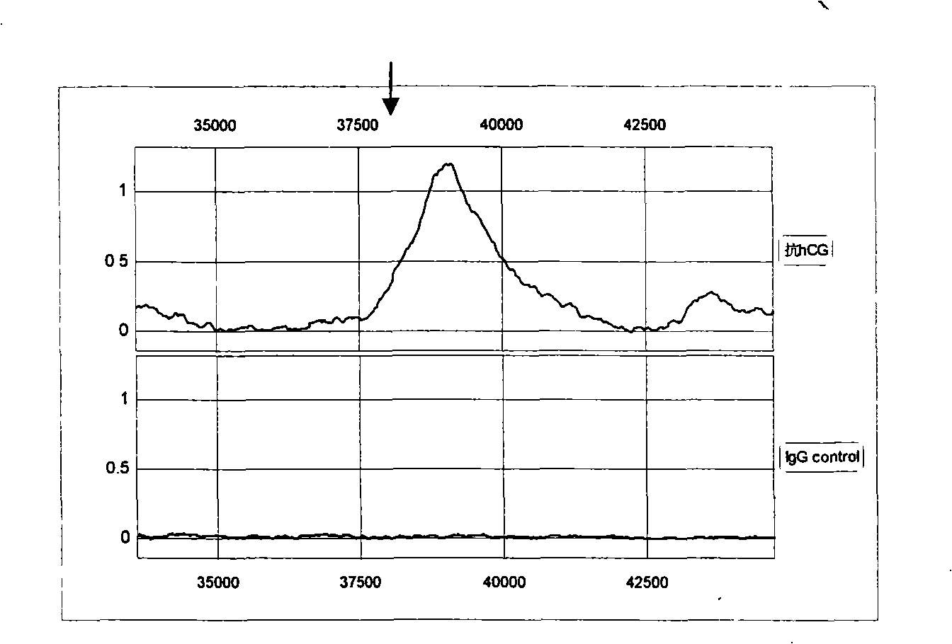 Mass spectrogram antibody kit of human chorionic gonadotrophin isomer and preparation method thereof