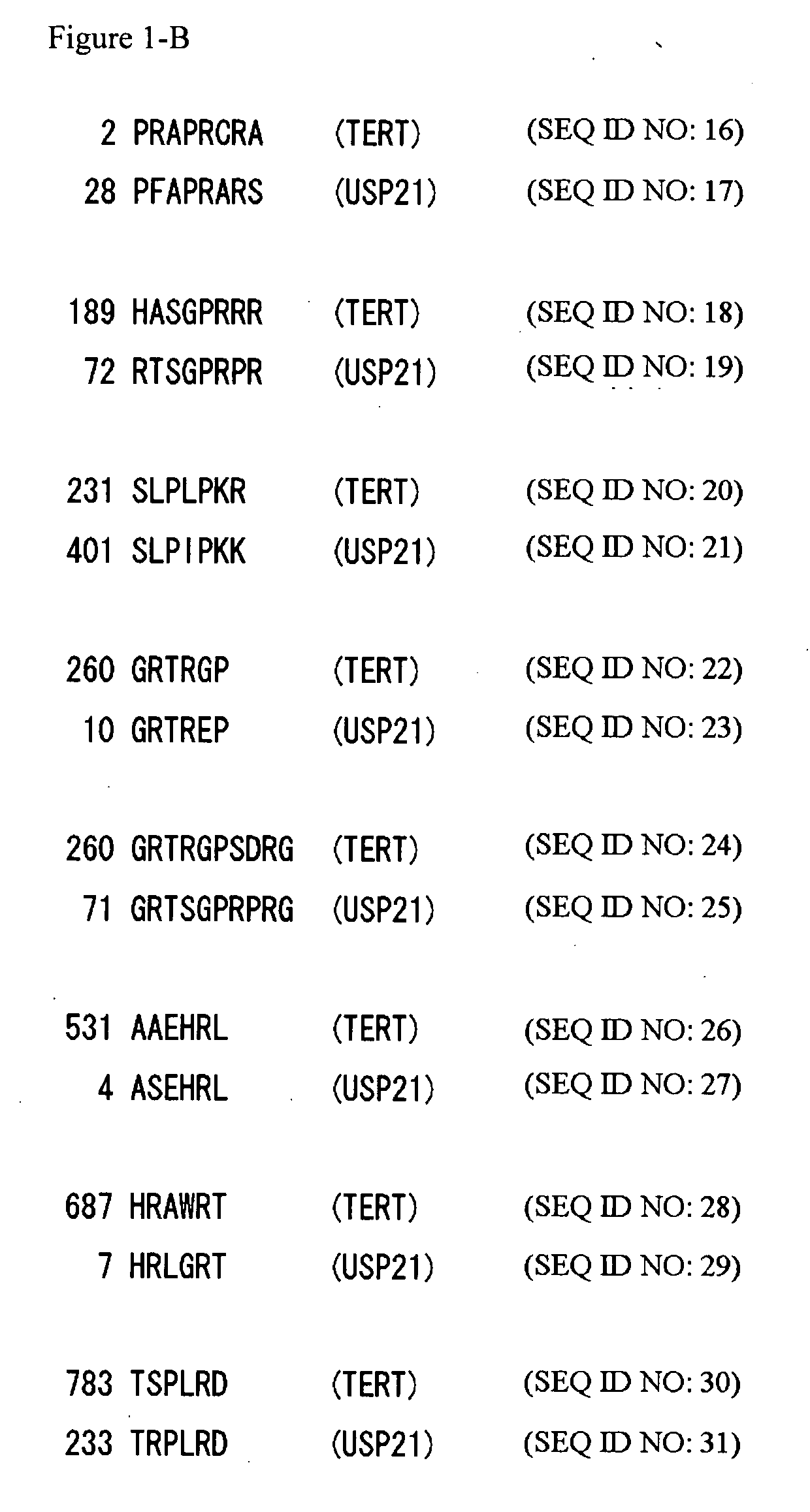 Method for Inhibiting Telomerase Activity and an Agent for Inhibiting the Same