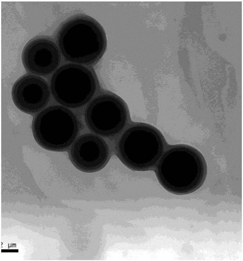 SIPN Type High-performance UV Curing Polyurethane Elastomer Pressure ...