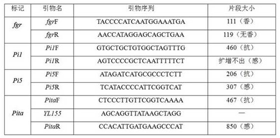 A Breeding Method of Gui 5886, a Fragrant Rice Blast-resistant Restorer Line with High Harvest Index