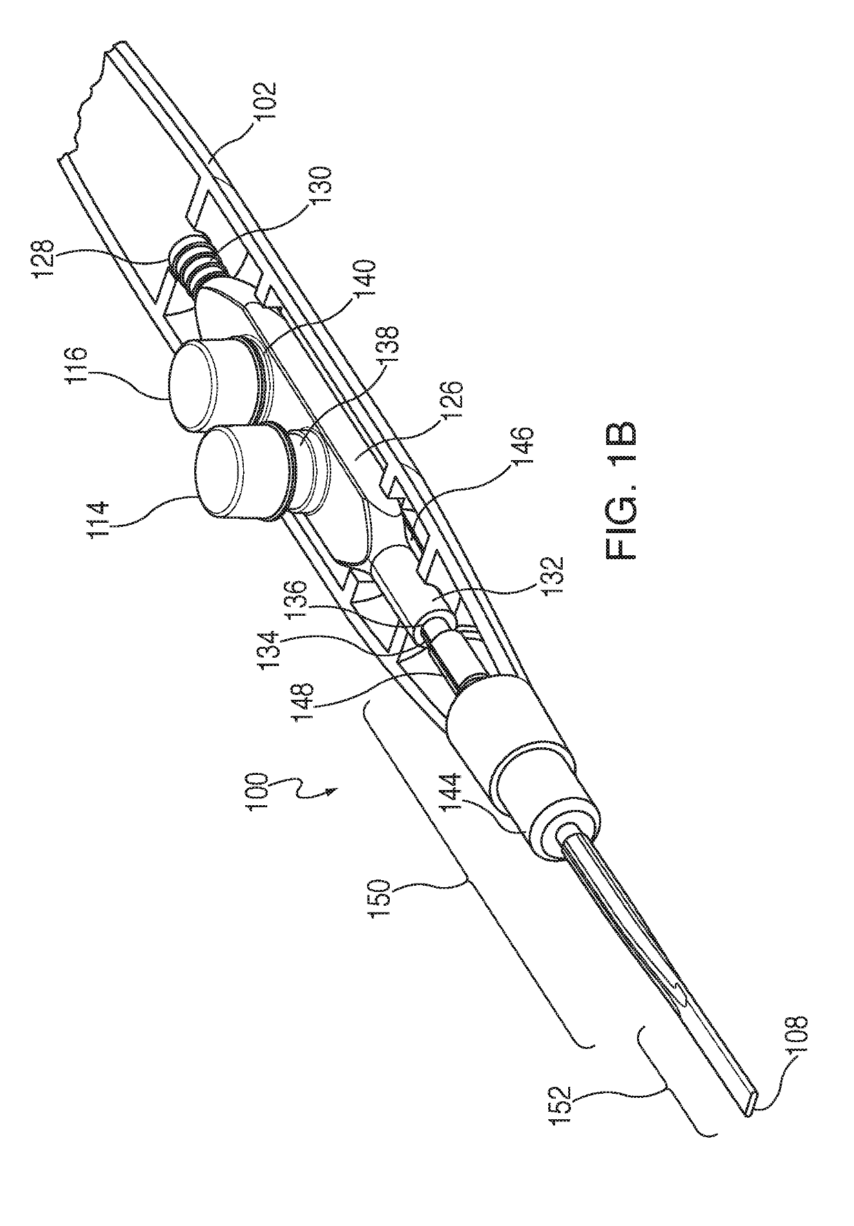 Cautery apparatus