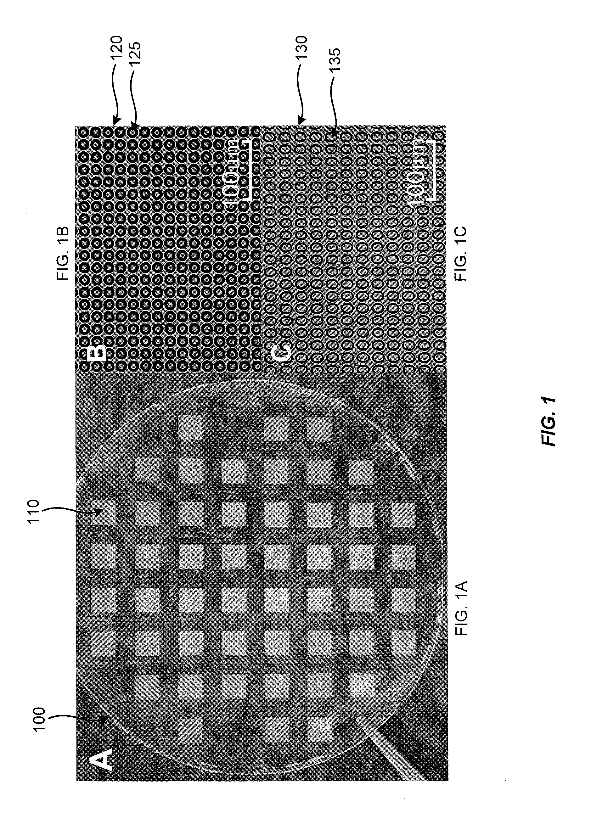 Uses of Parylene Membrane Filters