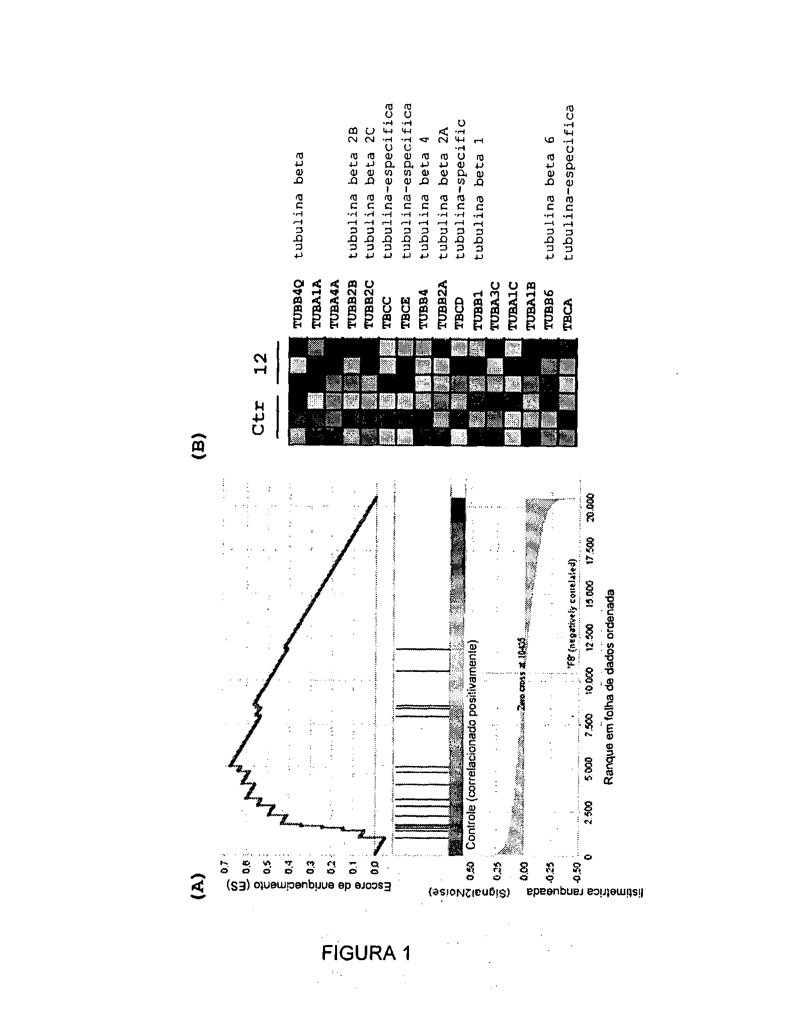 Acyl-hydrazone and oxadiazole compounds, pharmaceutical compositions containing the same and uses thereof