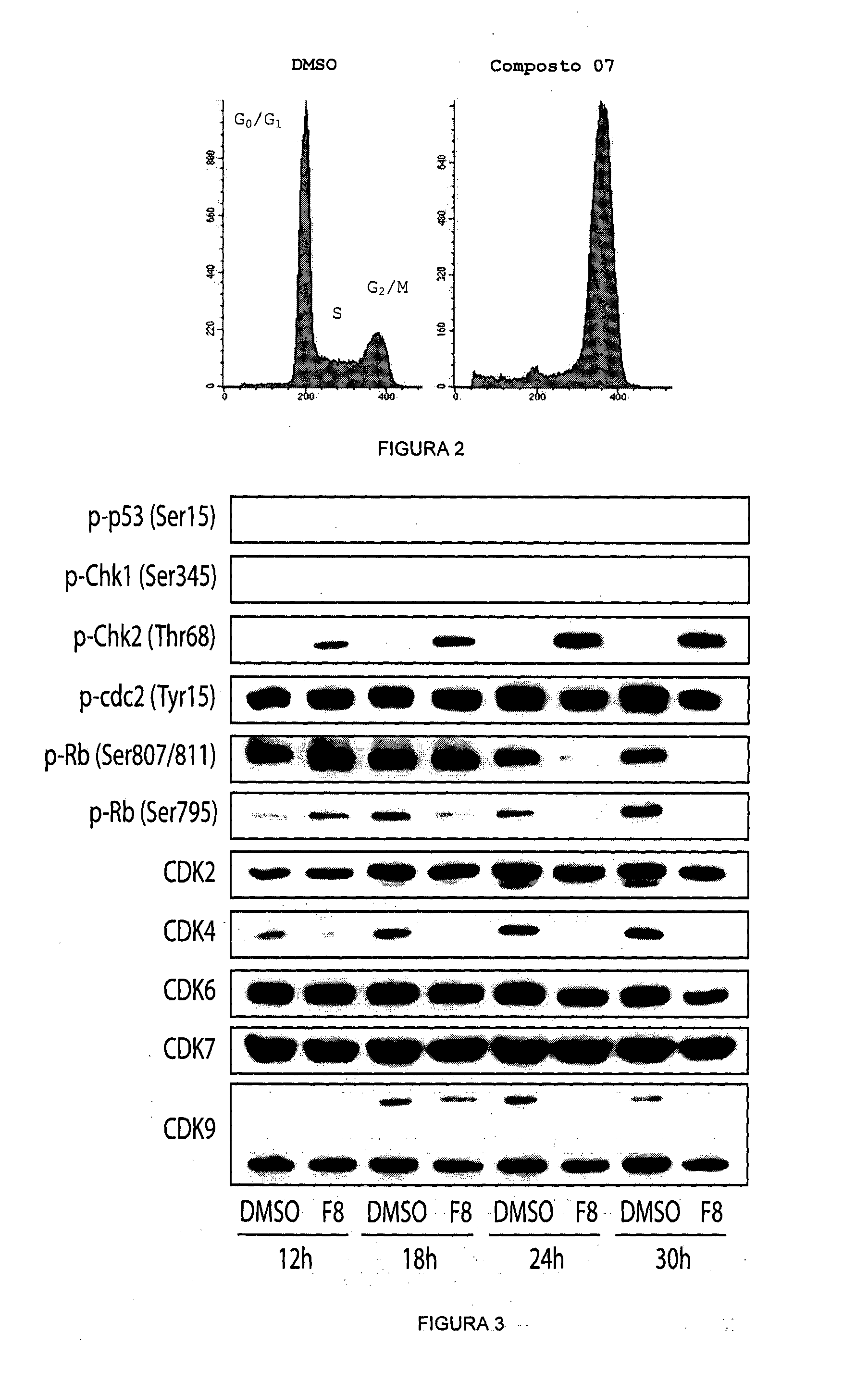 Acyl-hydrazone and oxadiazole compounds, pharmaceutical compositions containing the same and uses thereof