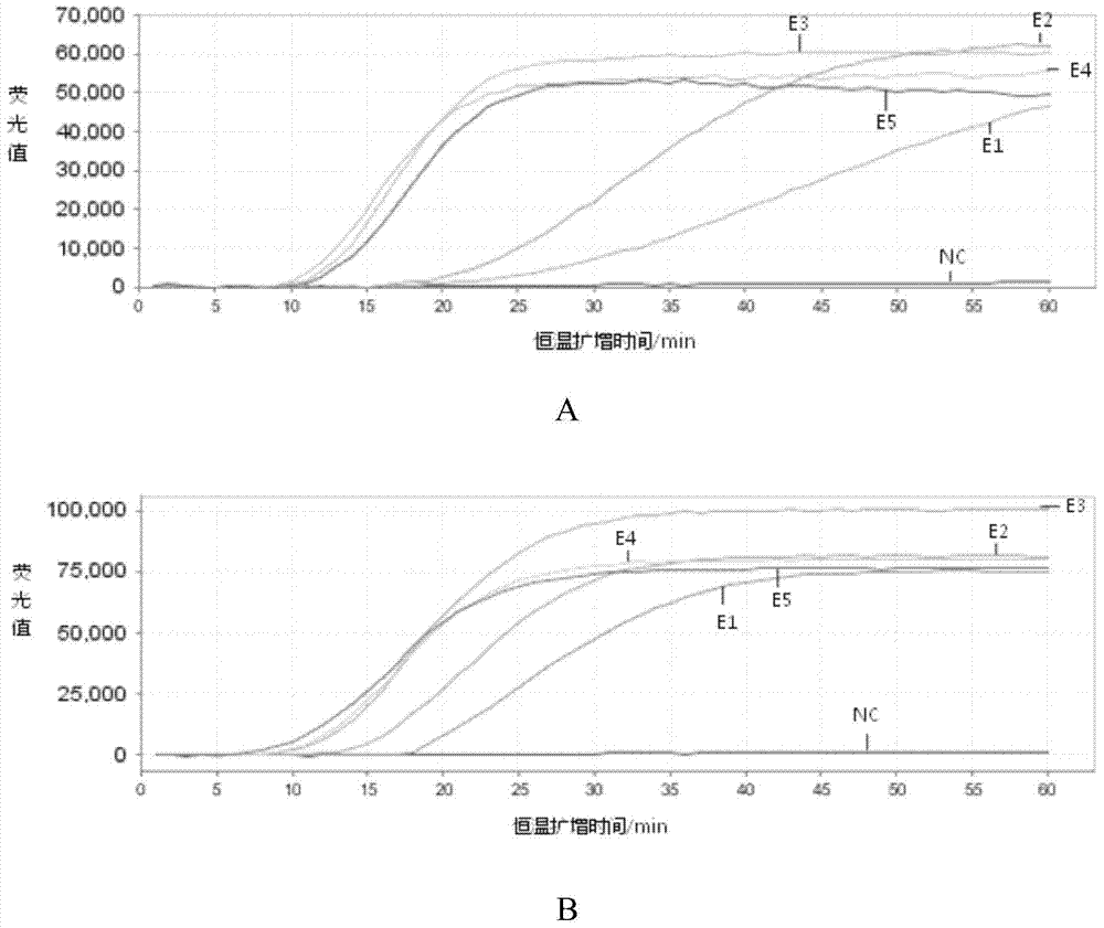 Kit for detecting respiratory virus and its application