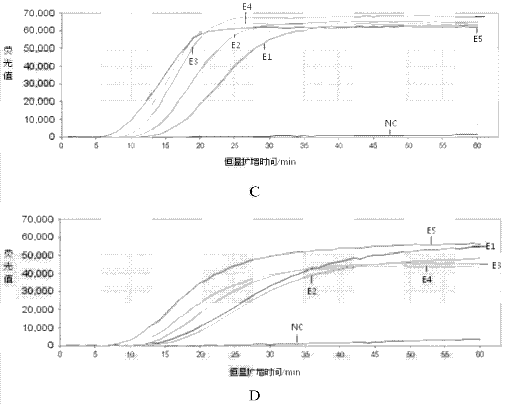 Kit for detecting respiratory virus and its application