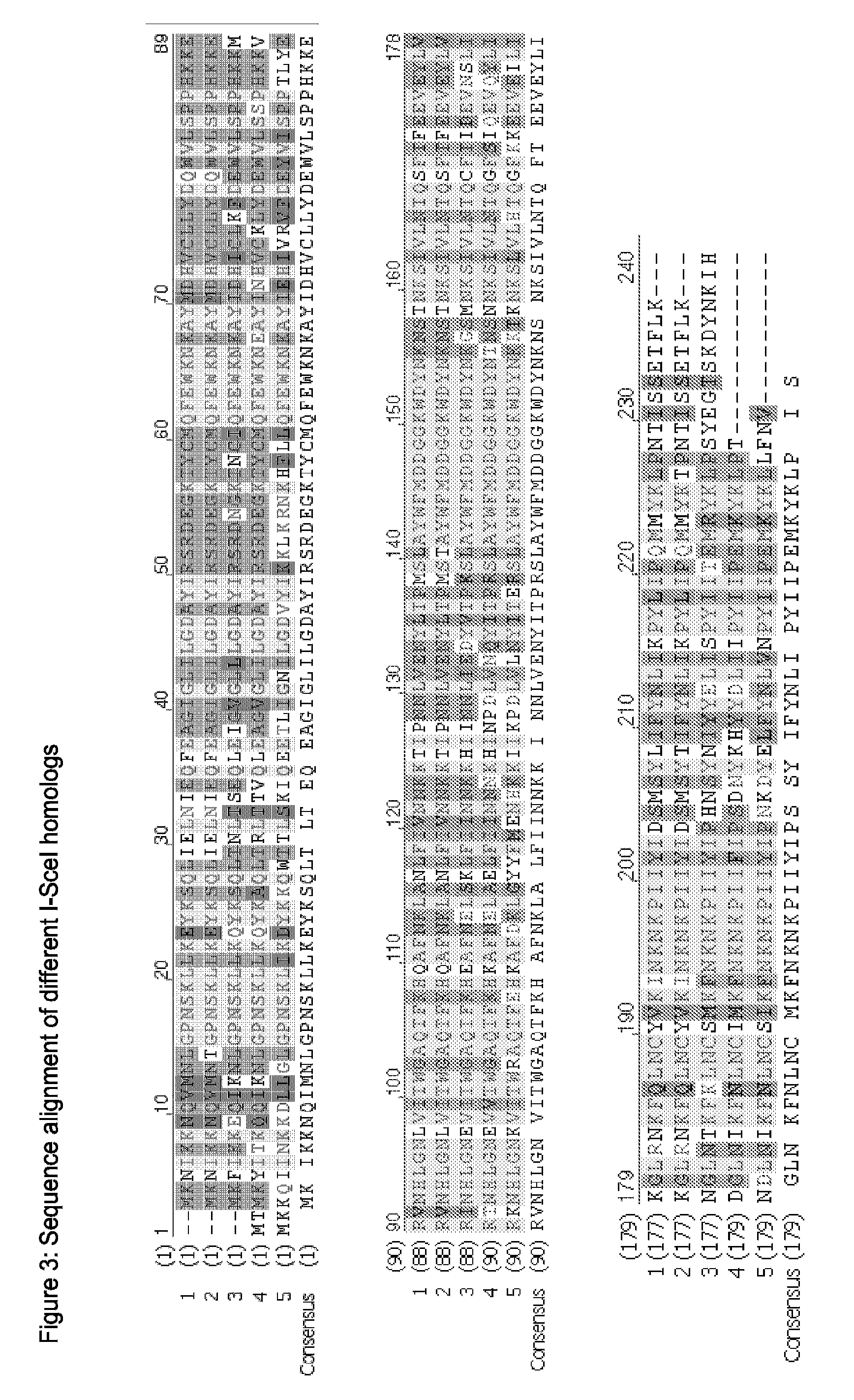 Chimeric Endonucleases and Uses Thereof
