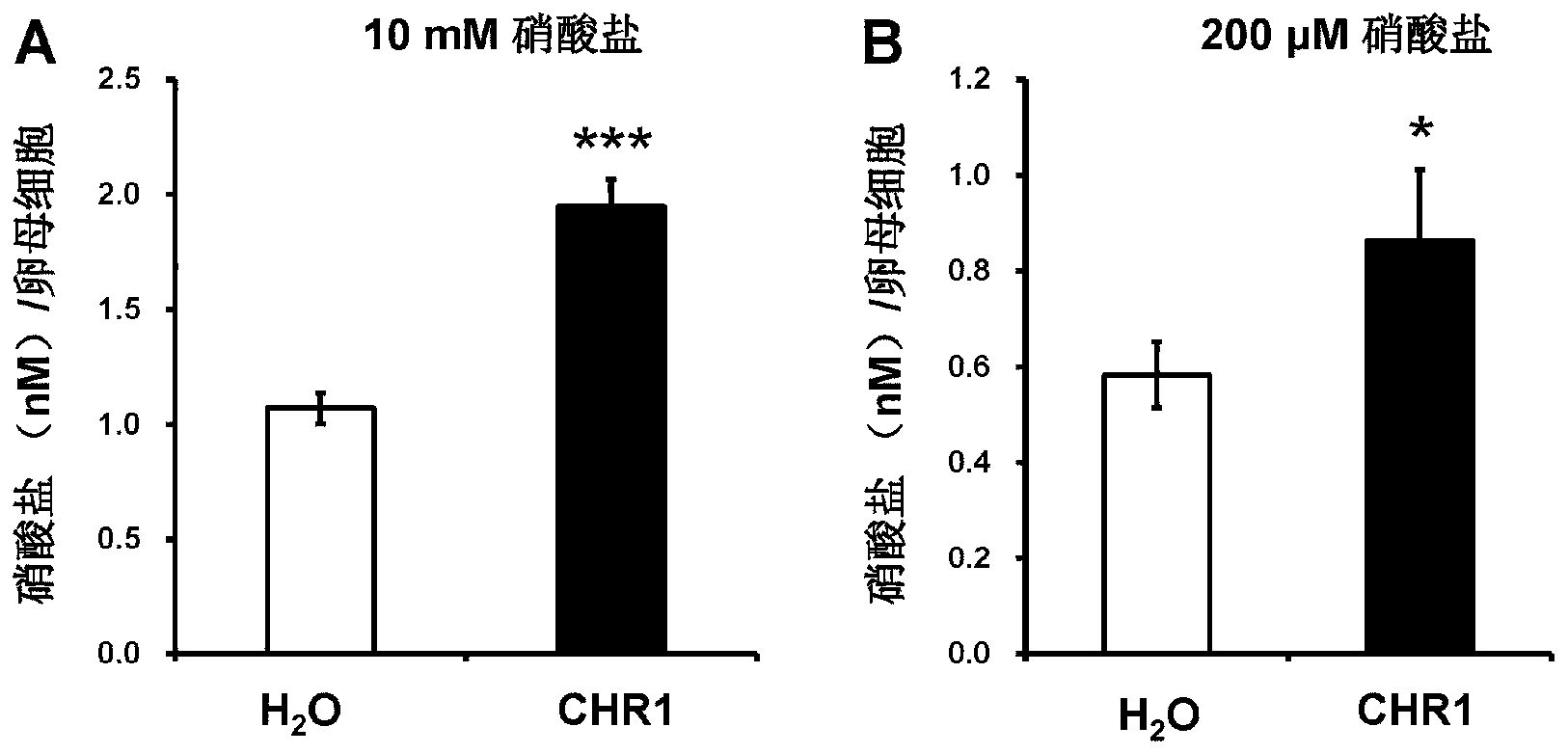 Application of rice protein CHR1 in adjusting content of plant nitrate