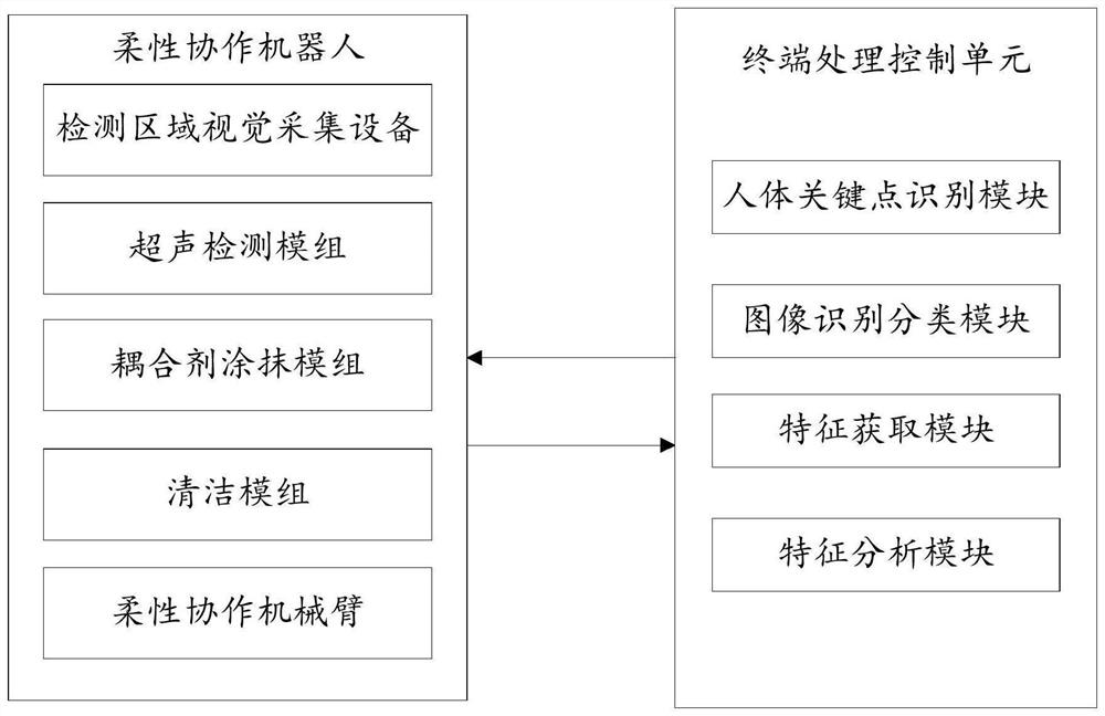 Automatic heart ultrasonic detection system and method based on flexible collaborative robot