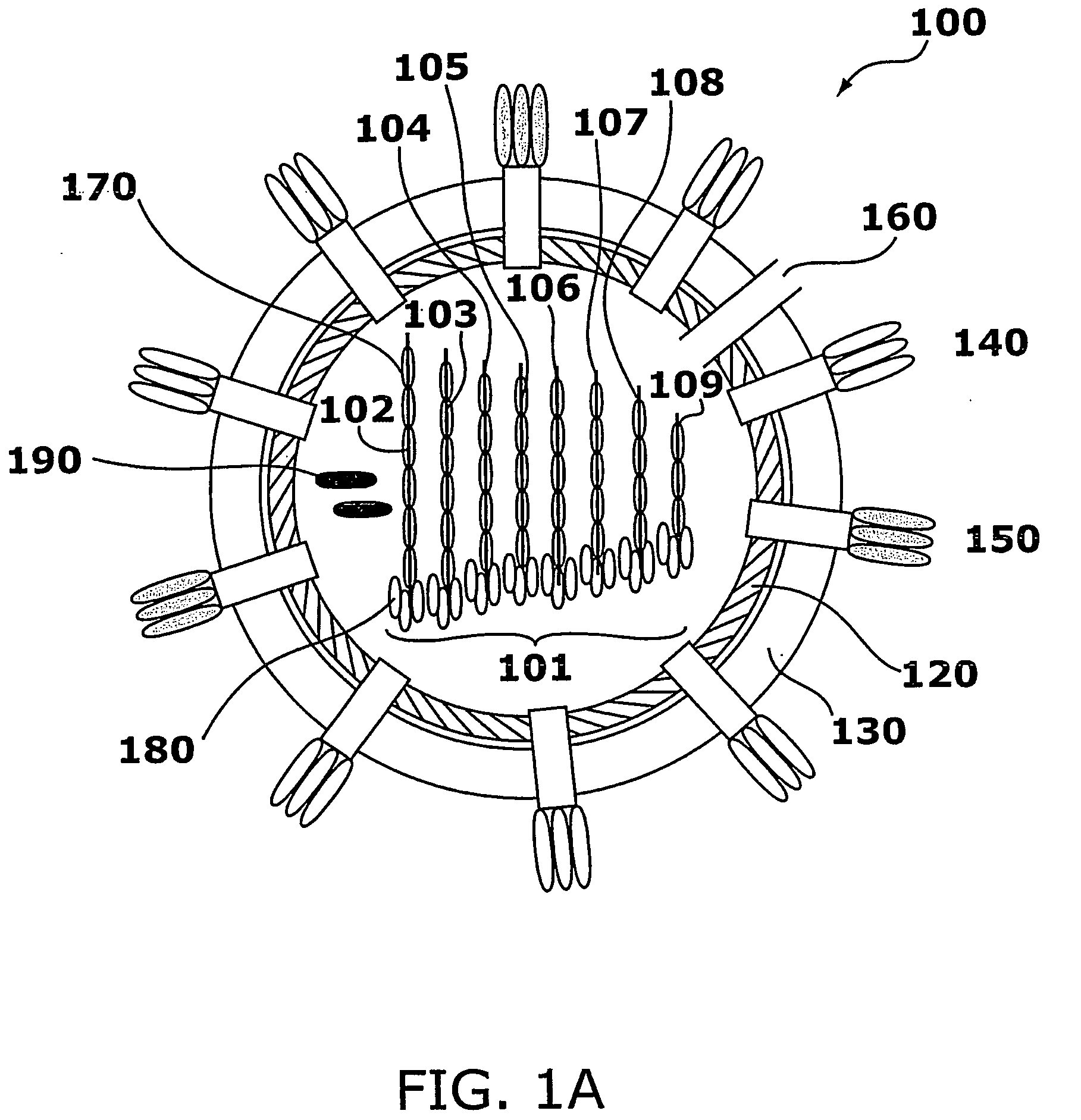 Influenza Therapeutic