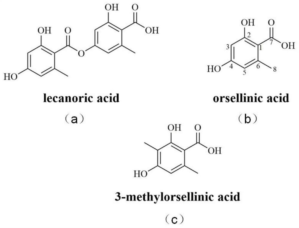 Construction of polyketide synthase PreuA-TEPreu3 and application of polyketide synthase PreuA-TEPreu3 in preparation of orsellinic acid