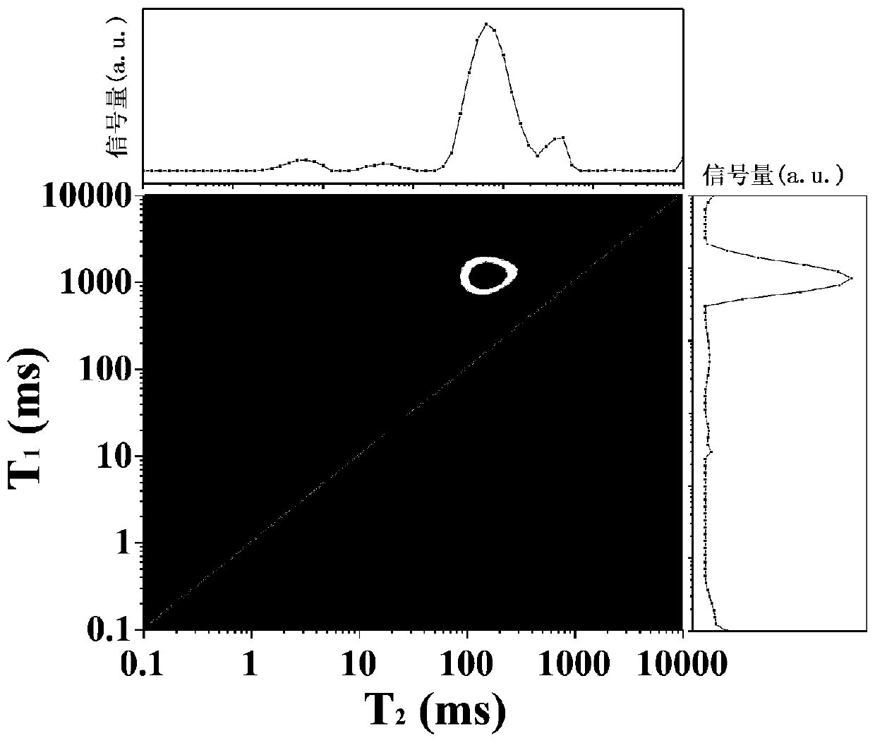 Method for judging Mactra chinensis protein denaturation based on low-field nuclear magnetic resonance