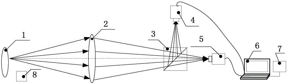 Positioning device for pulmonary bulla rupture site