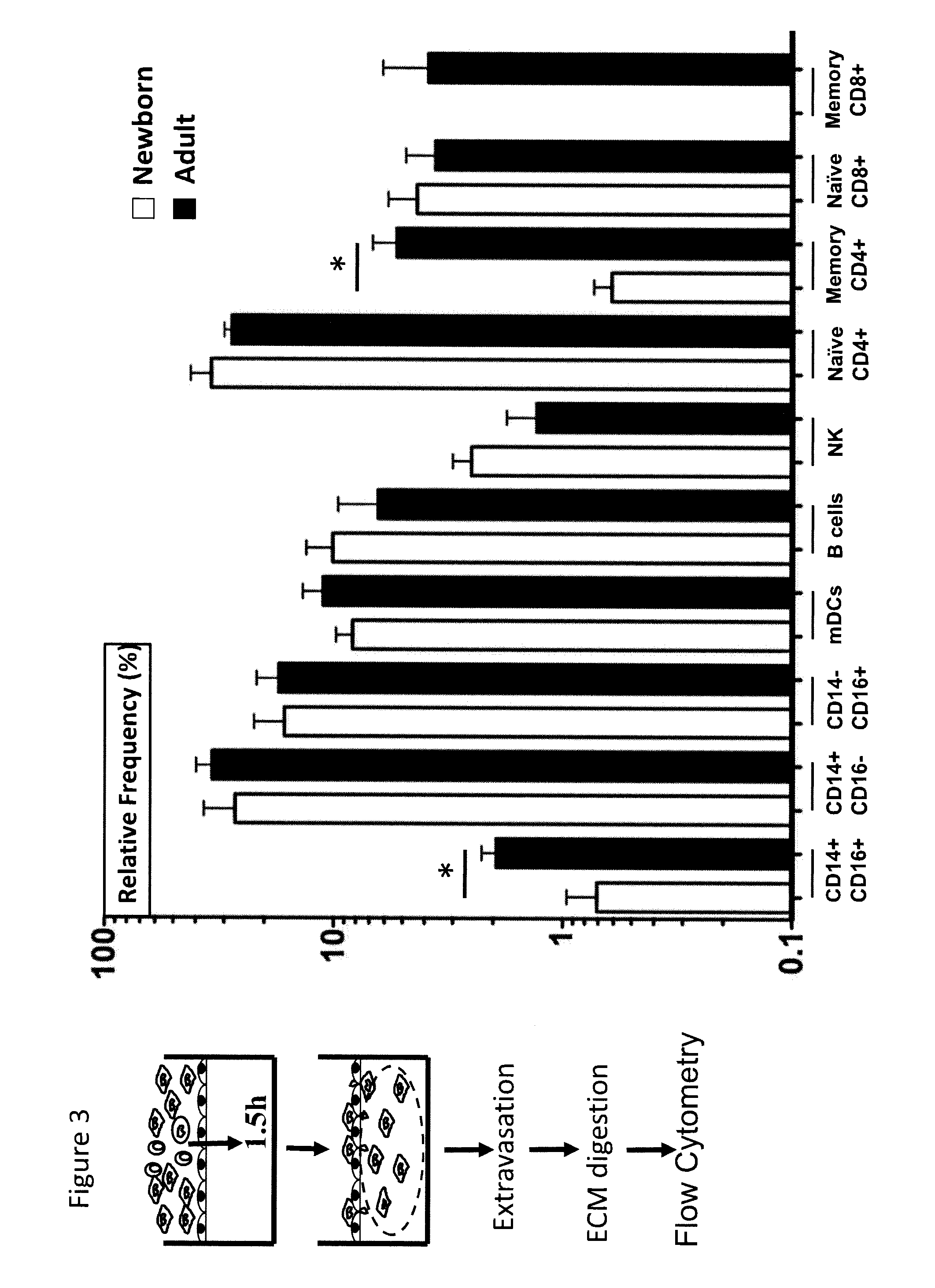 Tissue constructs and uses thereof