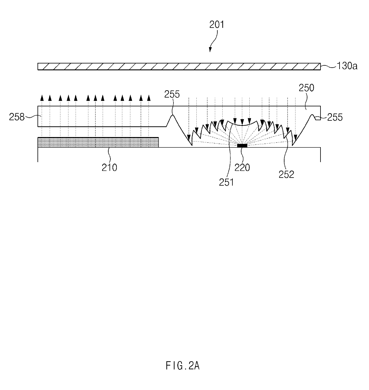 Electronic device including optical sensor using fresnel lens