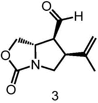 The synthetic method of kainic acid