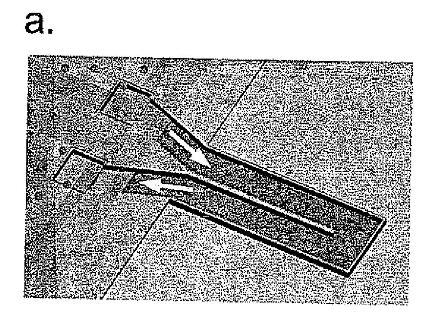 Method And Apparatus For Measuring Particle Characteristics through Mass Detection