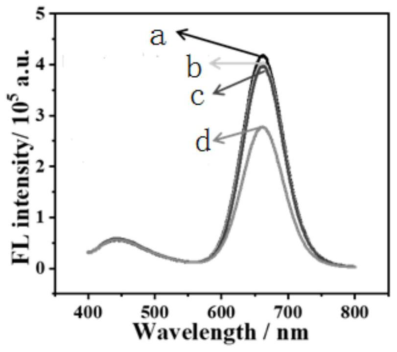 Preparation method of ratio fluorescence aptamer sensor for detecting zearalenone based on photoinduced electron transfer