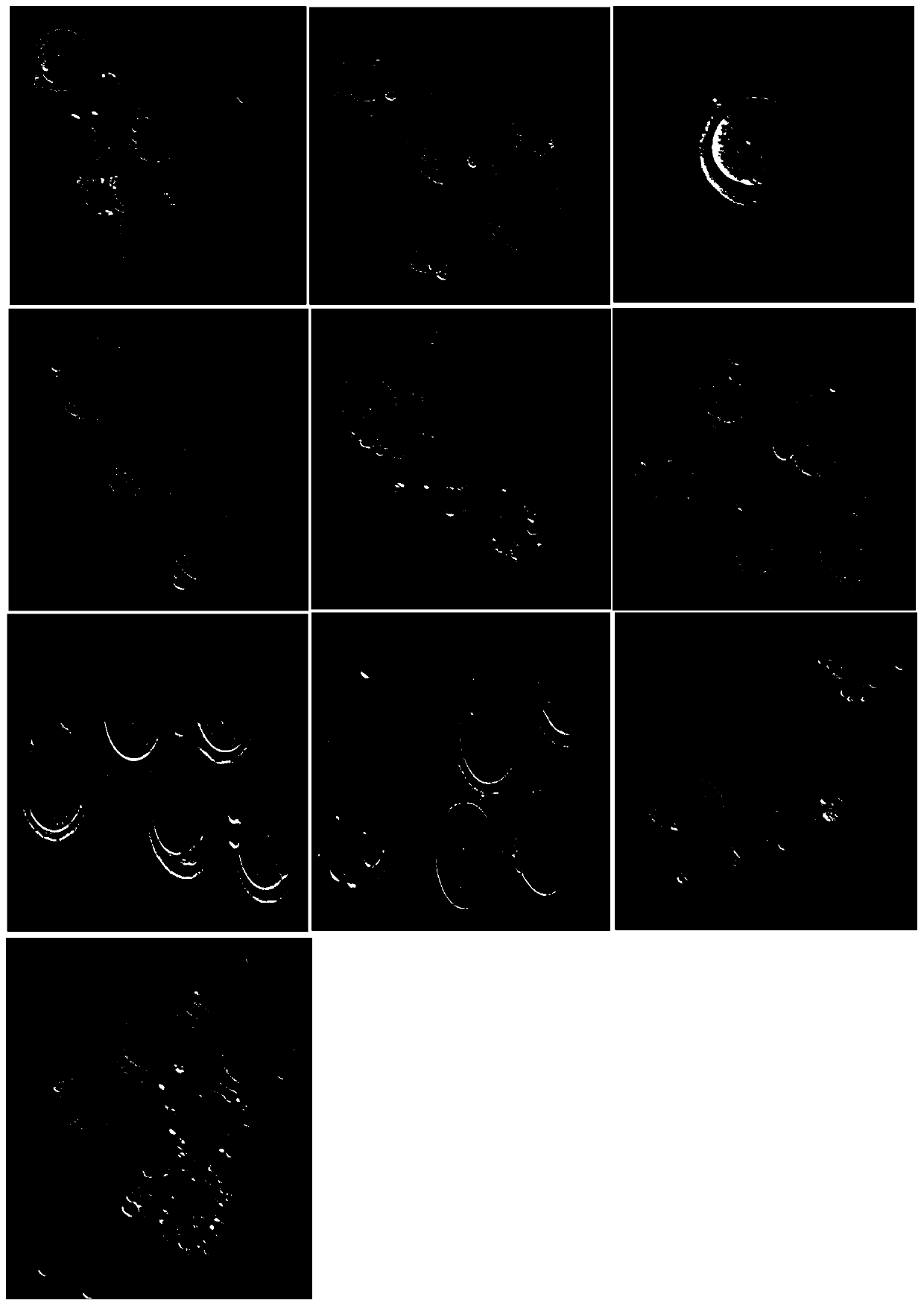 Vitrification freezing solution for embryo