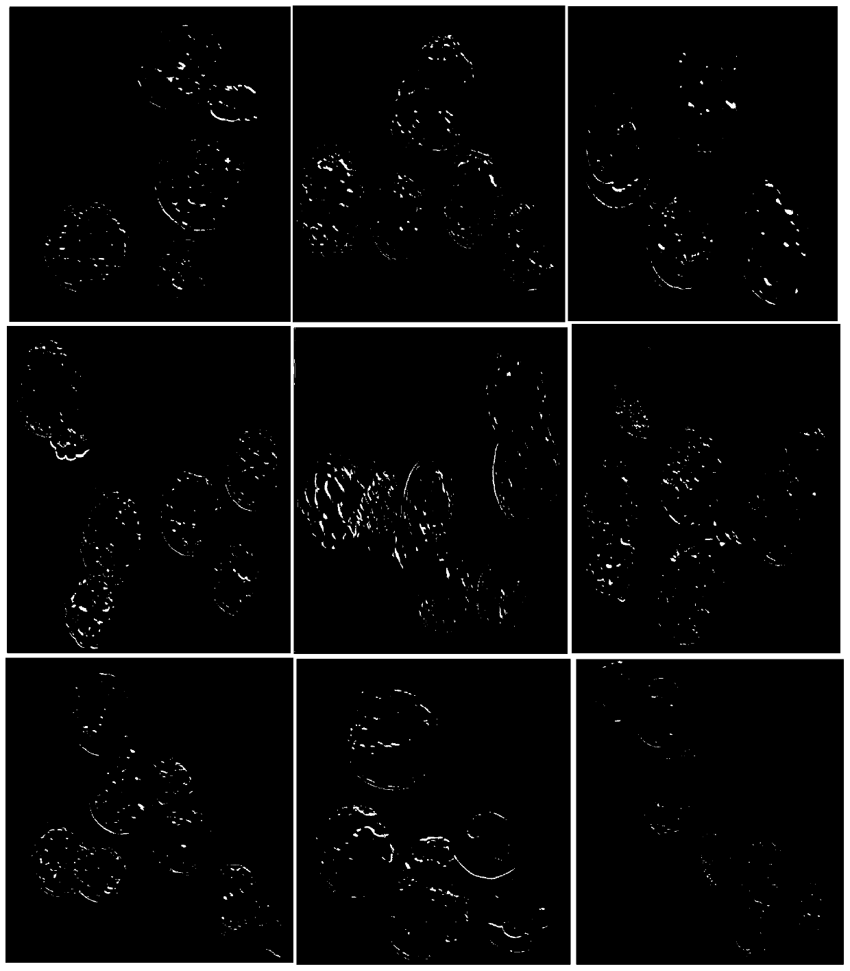 Vitrification freezing solution for embryo