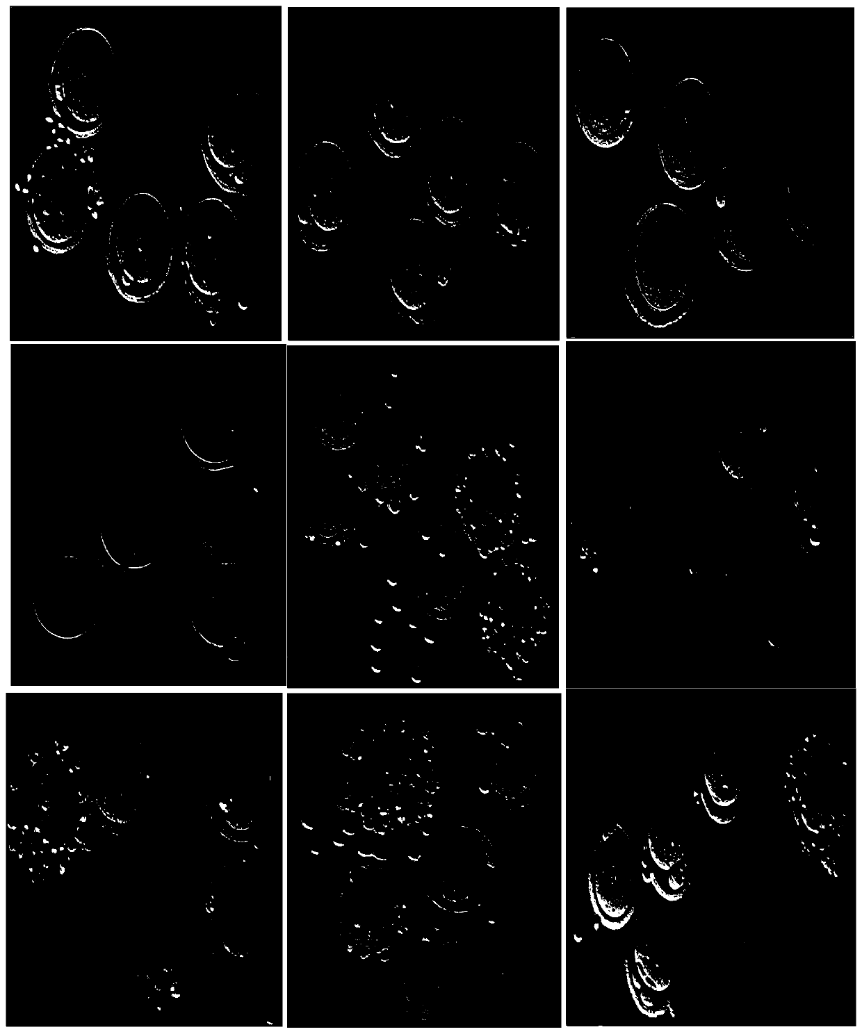 Vitrification freezing solution for embryo