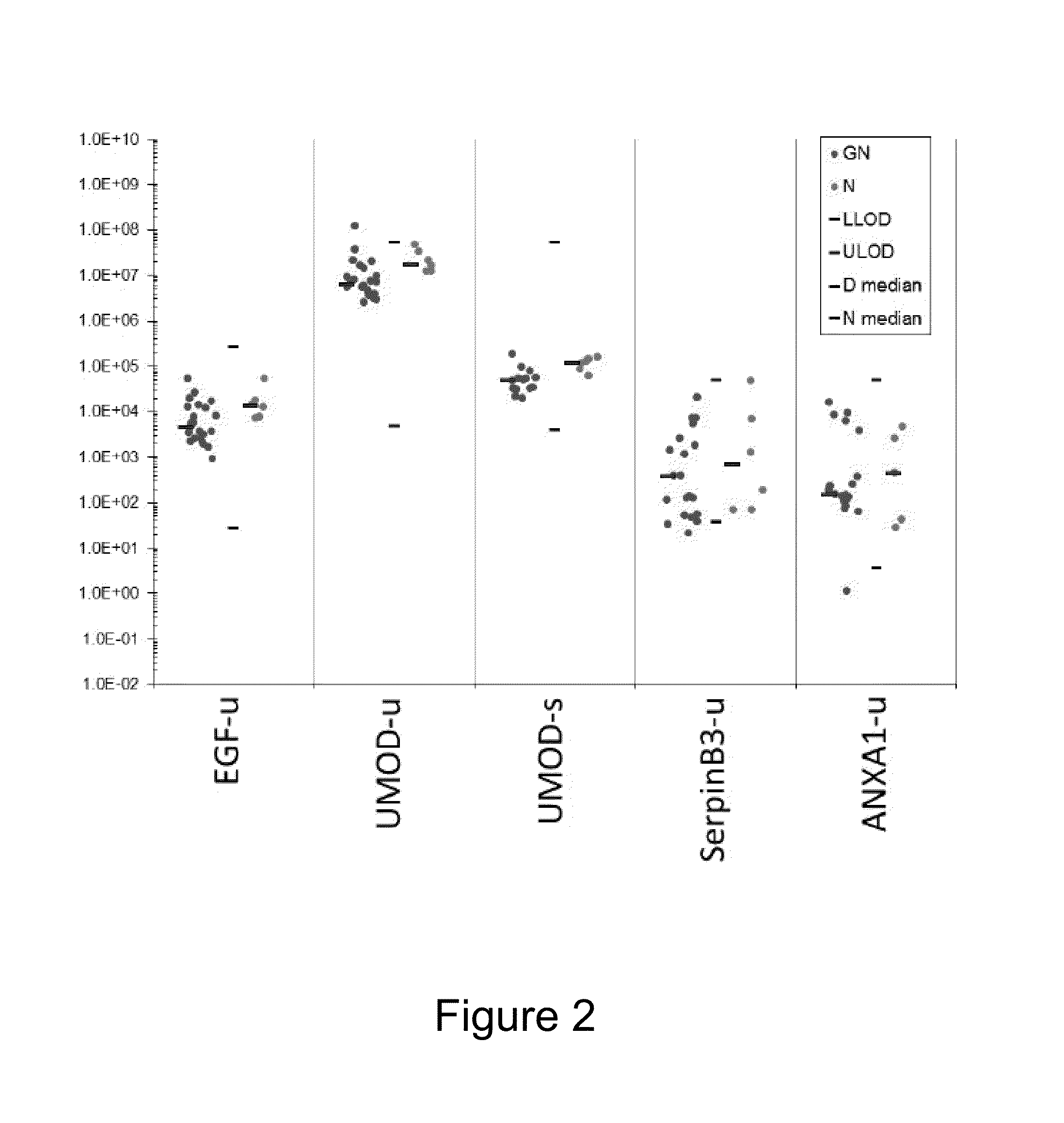 Glomerulonephritis biomarkers