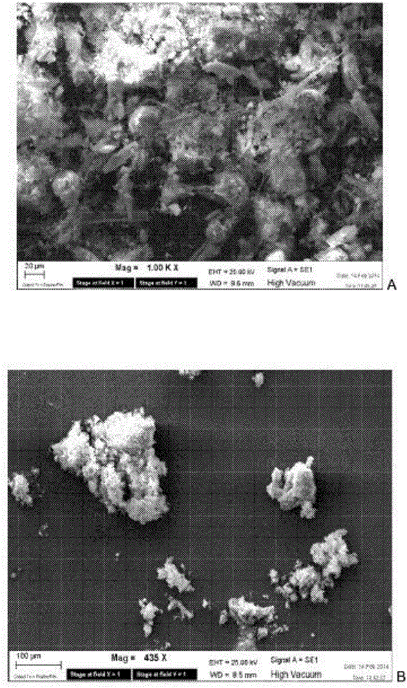 Process for biochemical denaturation of an asbestos-containing material