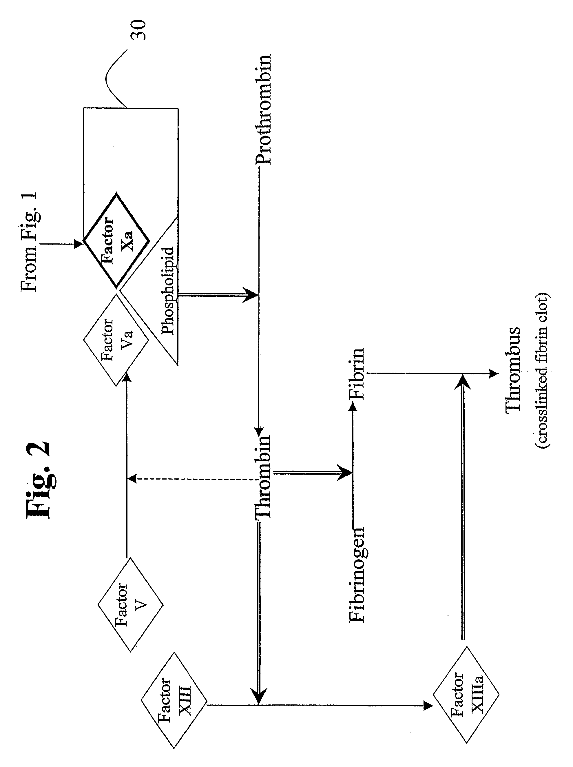 Aryl and Heteroaryl Compounds, Compositions, Methods of Use