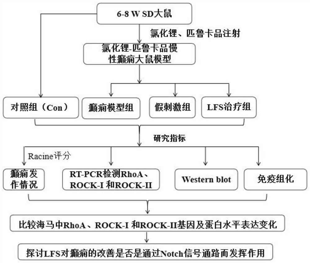 Construction and application of chronic epilepsy rat model