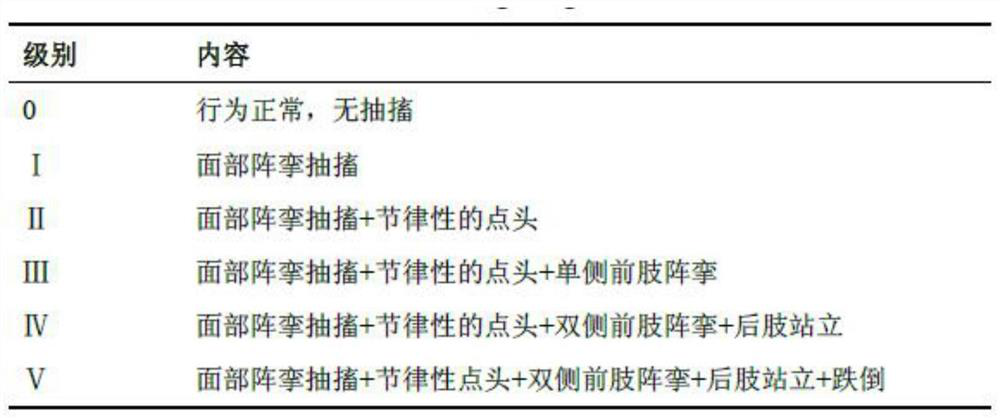 Construction and application of chronic epilepsy rat model