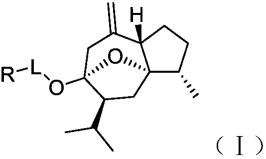 Curcumenol derivatives and application of curcumenol derivatives in preparing antitumor drug