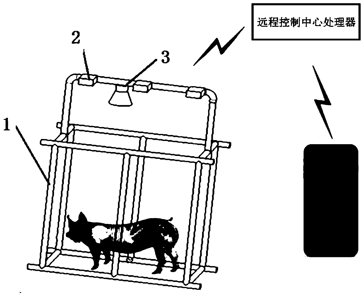 A system and method for monitoring prenatal behavior of sows