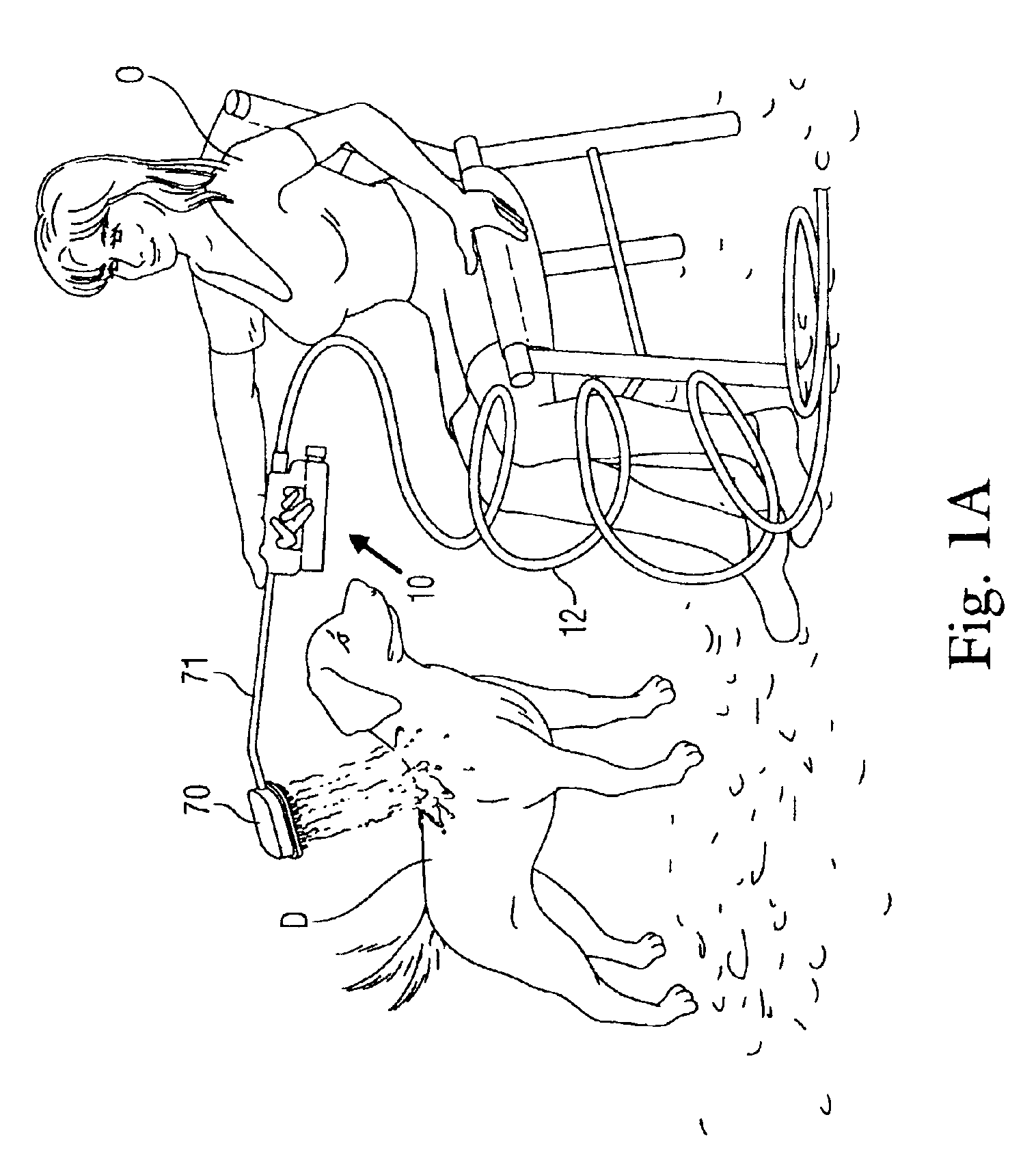Apparatus and method for shampooing dogs, horses and other animals