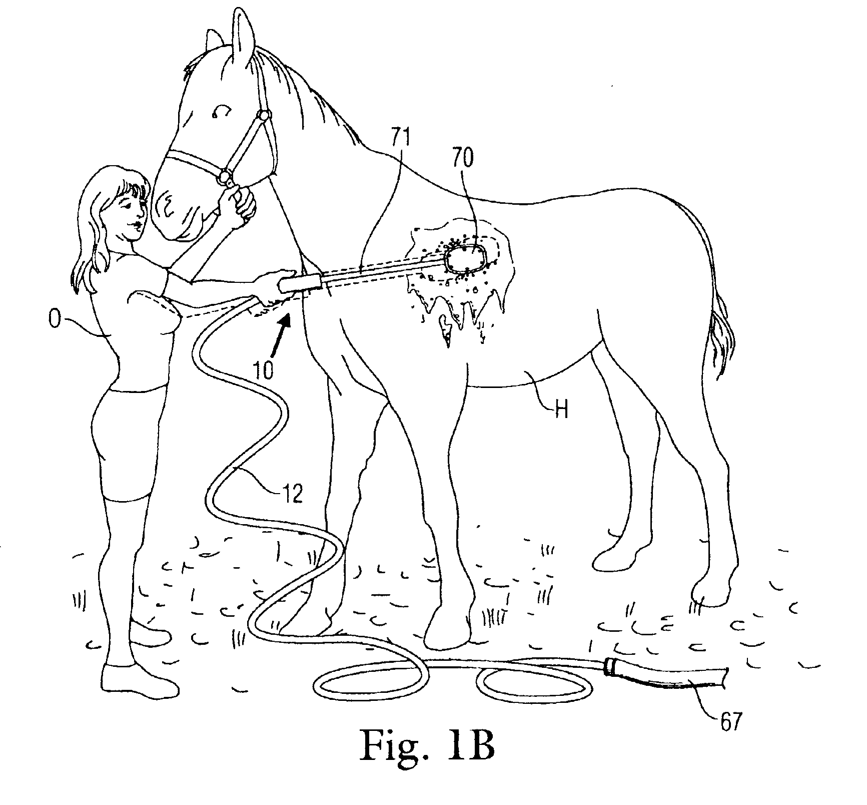 Apparatus and method for shampooing dogs, horses and other animals