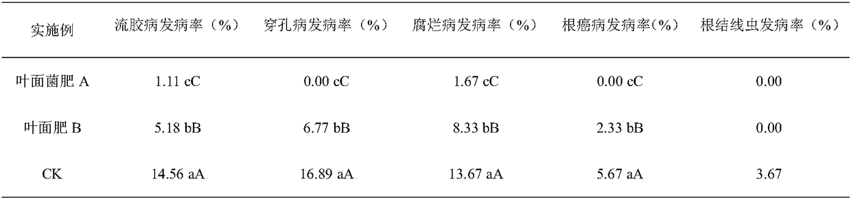 Highly-efficient foliar bacterial fertilizer for plum tree, and preparation method and application thereof