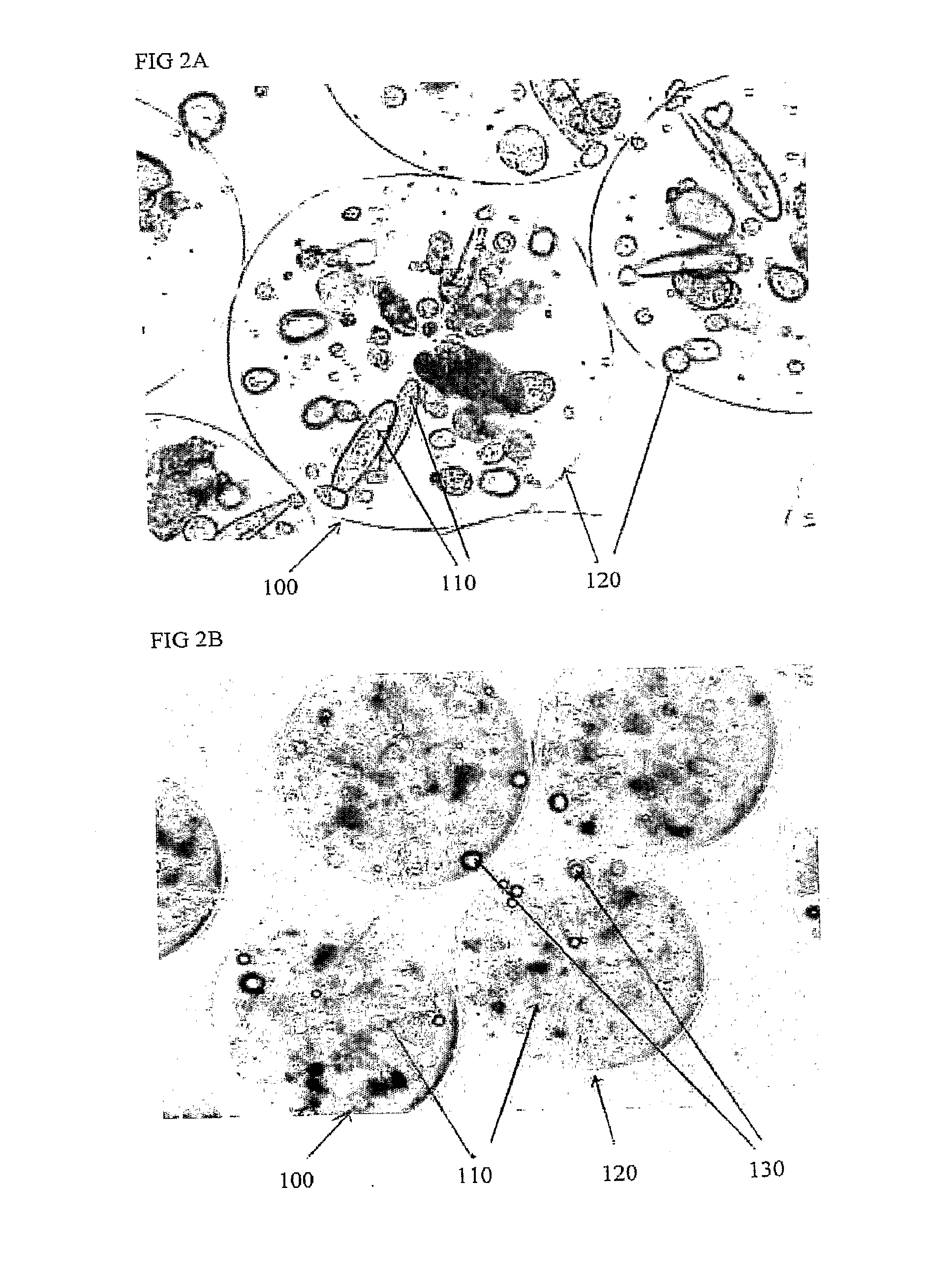 Multi-functional chamber housing a biological component