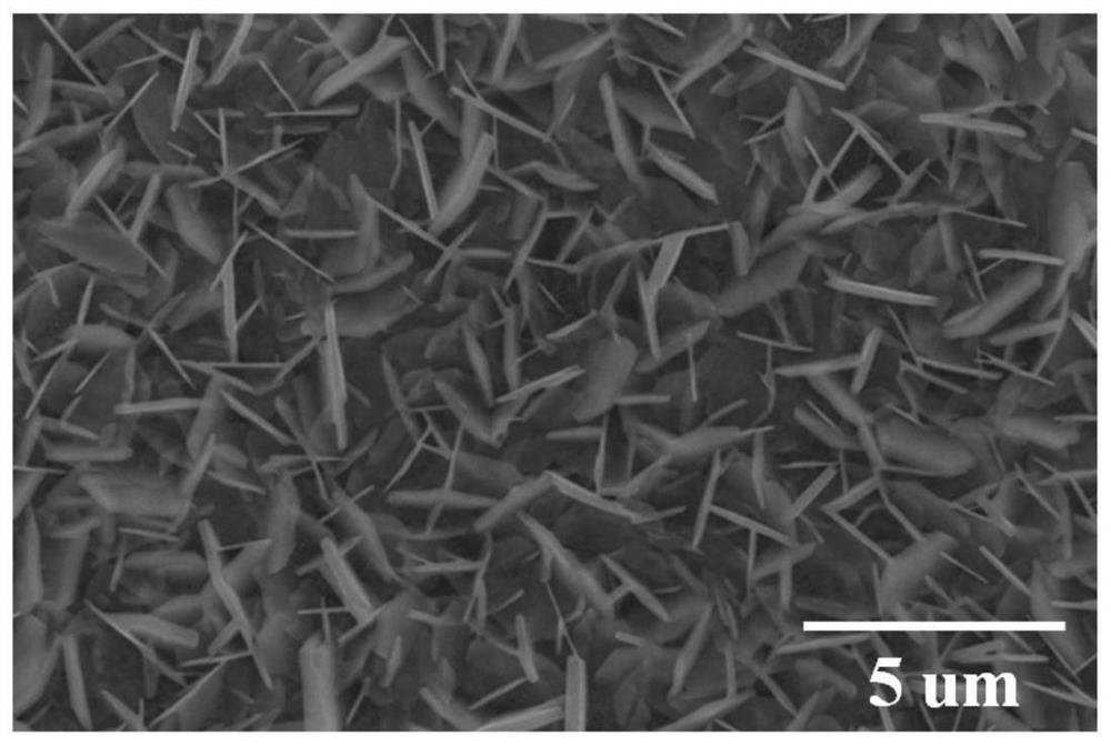 A kind of bismuth-based halide perovskite nanosheet and preparation method thereof