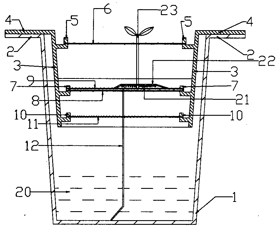 Soilless culture device with water absorption and retention network matrix