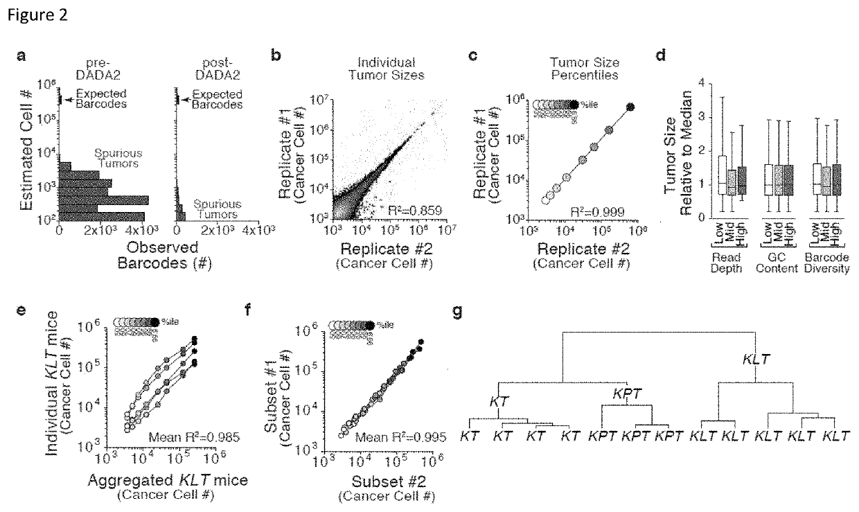 Compositions and methods for multiplexed quantitative analysis of cell lineages