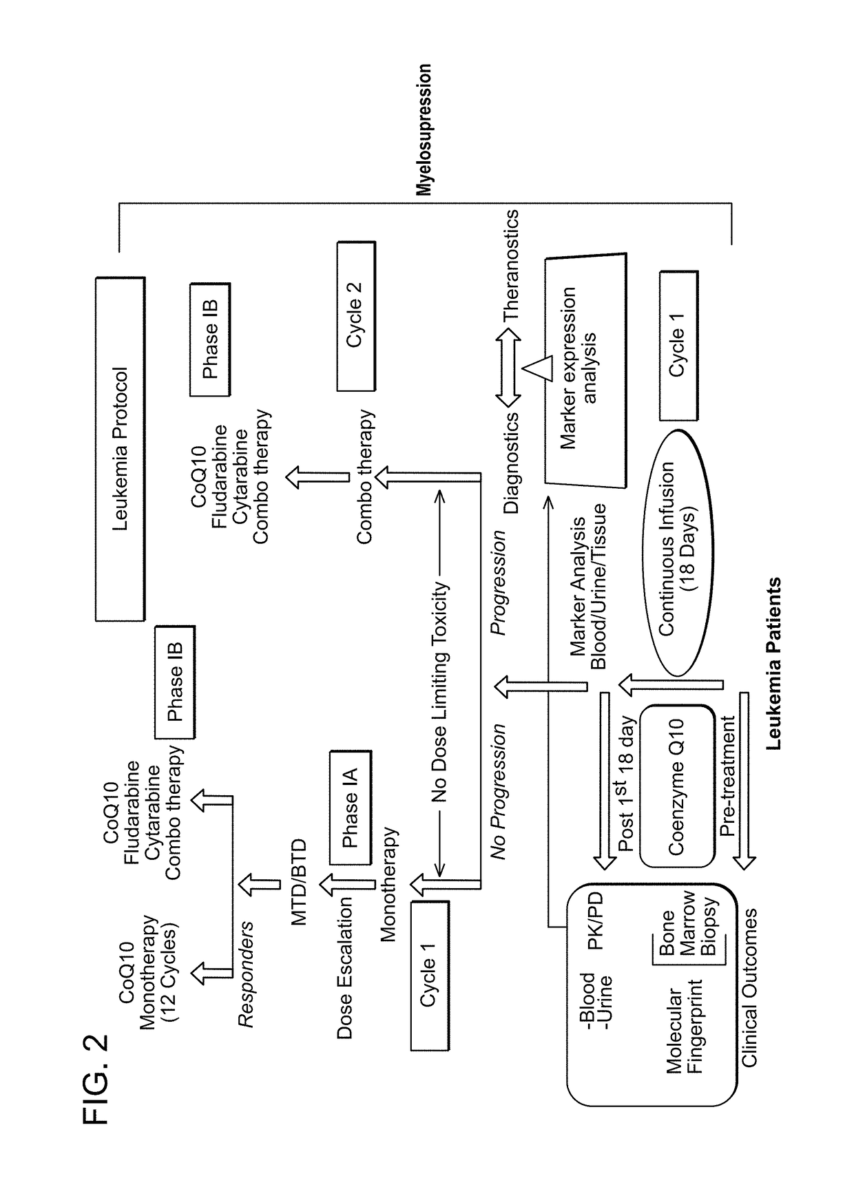 Methods of treatment of cancer by continuous infusion of coenzyme Q10
