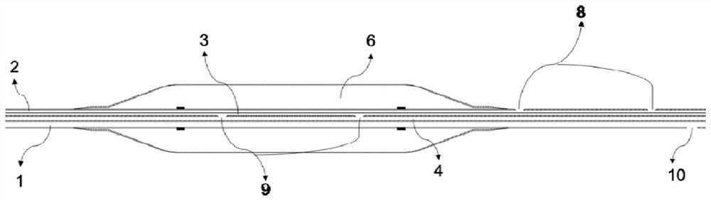 Multifunctional balloon dilatation catheter for in-vivo lung membrane oxygenation