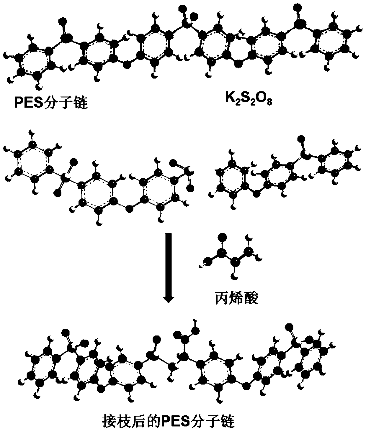 Nonlinear Photocatalytic Membrane for Total Nitrogen Treatment in Tailwater of Wastewater Treatment Plant and Its Application