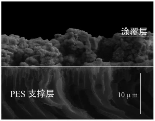 Nonlinear Photocatalytic Membrane for Total Nitrogen Treatment in Tailwater of Wastewater Treatment Plant and Its Application