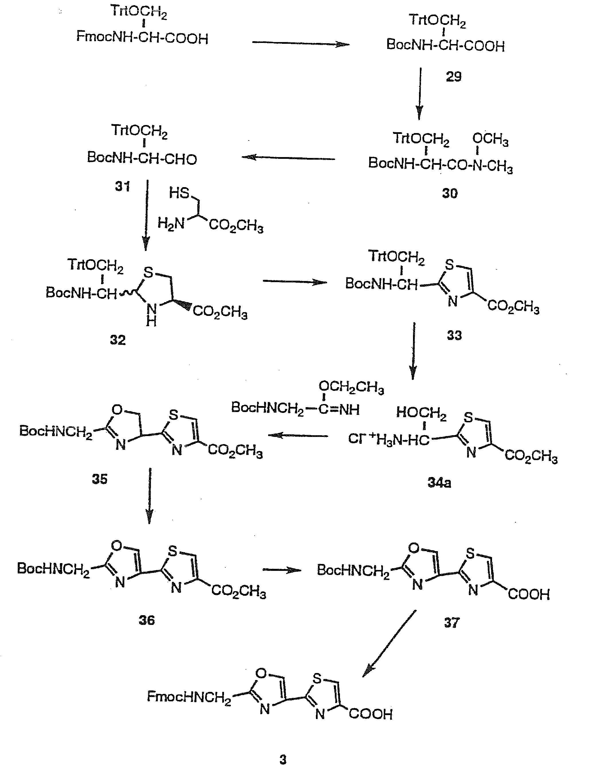 Oxazole and thiazole combinatorial libraries