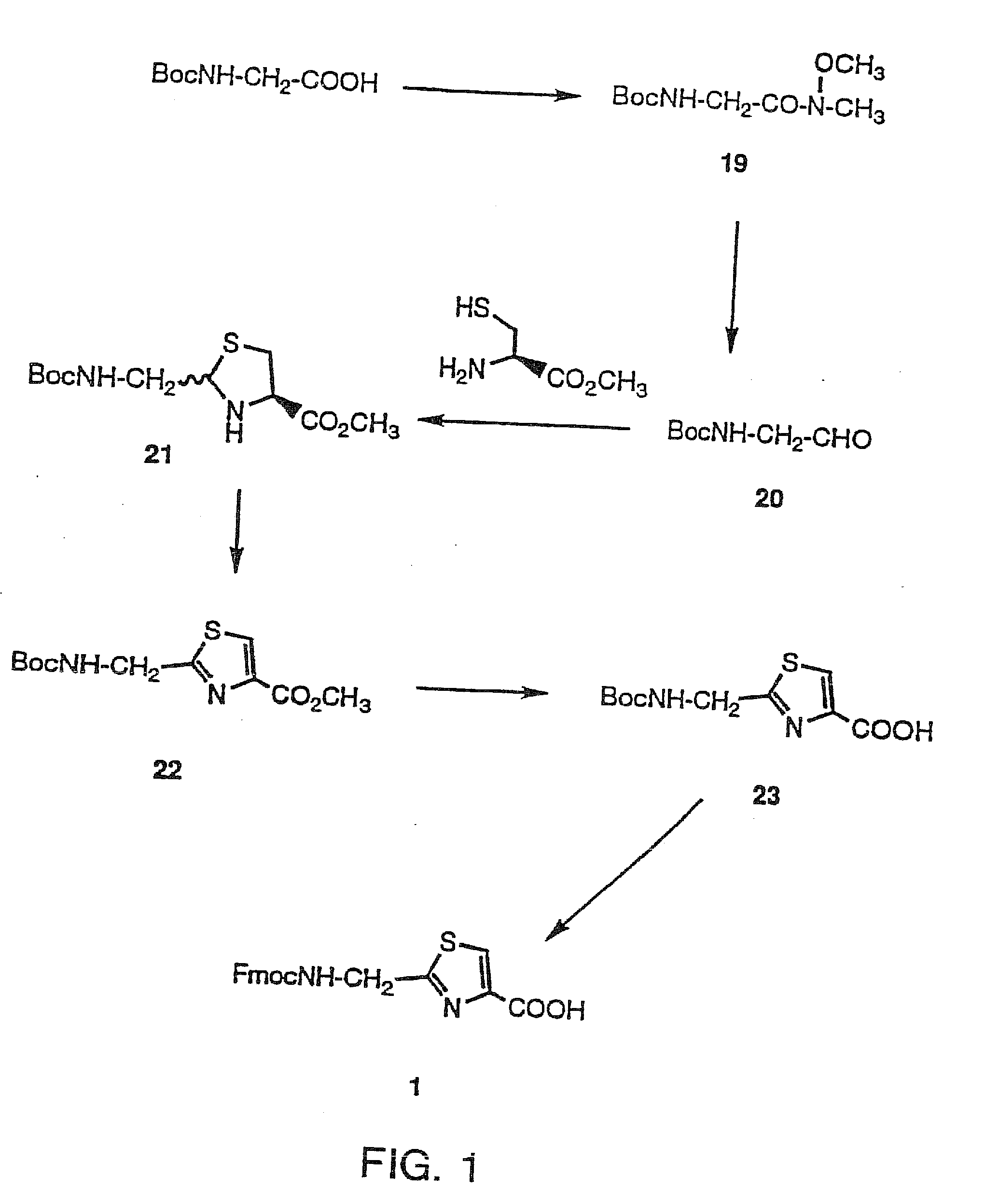 Oxazole and thiazole combinatorial libraries