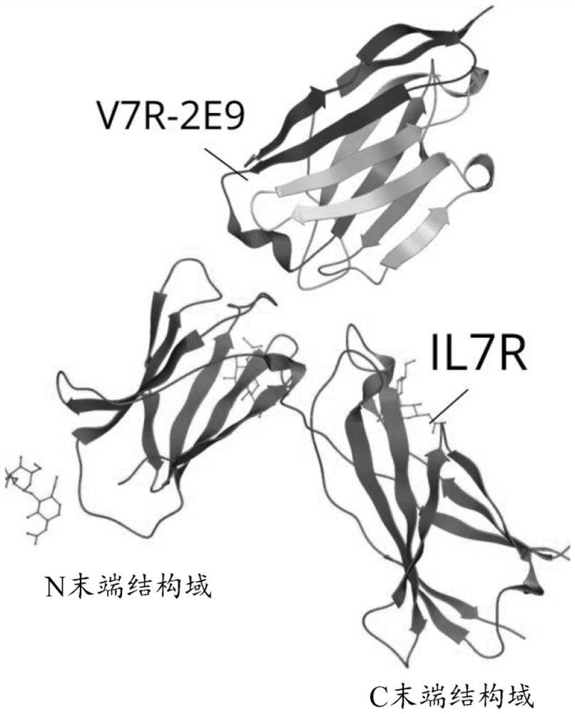 Polypeptides